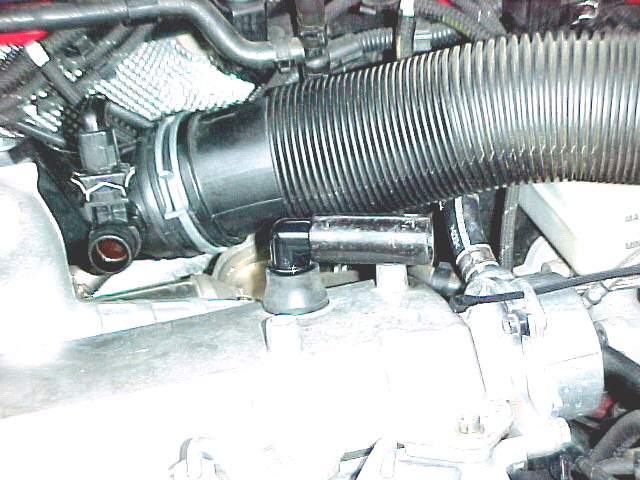 The elbo fits the stock valve cover grommet. You can see the wire tie.