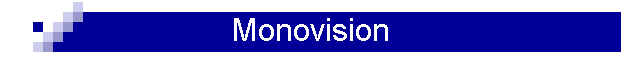 Monovision